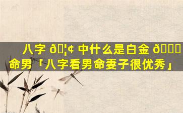 八字 🦢 中什么是白金 🐘 命男「八字看男命妻子很优秀」